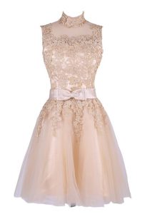 Knee Length Champagne Dress Like A Star Tulle Sleeveless Appliques