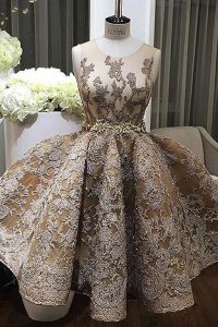 Sexy Scoop Champagne Zipper Prom Gown Lace and Appliques Sleeveless Mini Length