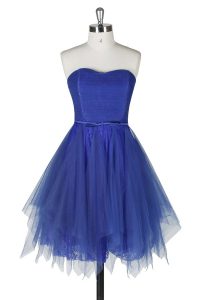 Pretty Strapless Sleeveless Zipper Prom Dress Royal Blue Tulle and Lace