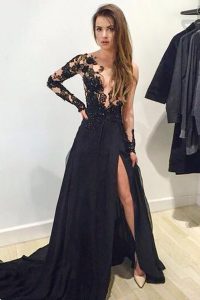 Brush Train A-line Prom Evening Gown Black V-neck Tulle Long Sleeves Zipper