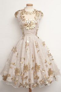 Suitable Champagne Prom Party Dress Prom and Party and For with Appliques High-neck Cap Sleeves Zipper