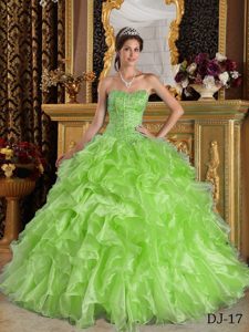 Spring Green Sweetheart Organza Quinceanera Dress with Ruffles and Beading