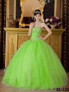 New Spring Green Strapless Organza Ball Gown Sweet 16 Dress with Appliques
