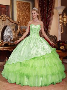 Spring Green Sweetheart and Organza Dress for Quince with Embroidery