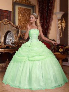 Apple Green Ball Gown Strapless Appliqued Dresses for Quince in Organza
