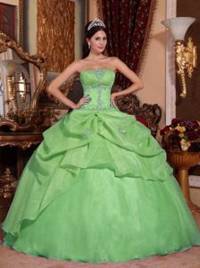 Brand New Green Ball Gown Quinceanera Dress Made in Organza with Beading
