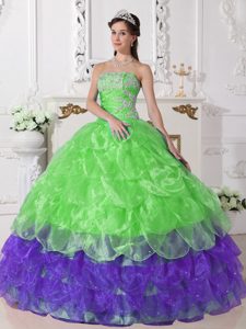 Colorful Ball Gown Strapless Quinceanera Dresses in Organza with Appliques