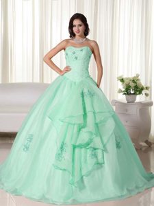 Apple Green Ball Gown Strapless Embroidery Dresses for Quince in Organza