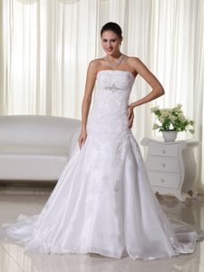 2013 Lovely Strapless Satin and Organza Lace Wedding Dress with Court Train