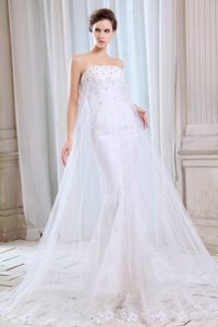 Strapless Brush Train Tulle Wedding Dress with Floral Appliques on Promotion
