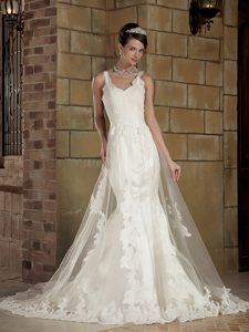 Straps Court Train Champagne Mermaid Tulle Wedding Dresses with Appliques