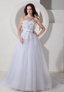 Princess Strapless Outdoor Wedding Dress with Bowknot and Appliques