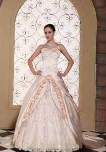 One Shoulder Champagne Ball Gown Pretty Wedding Dress with Embroidery