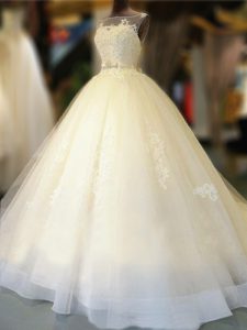 Sleeveless Tulle With Train Court Train Backless Wedding Gown in White with Appliques and Bowknot